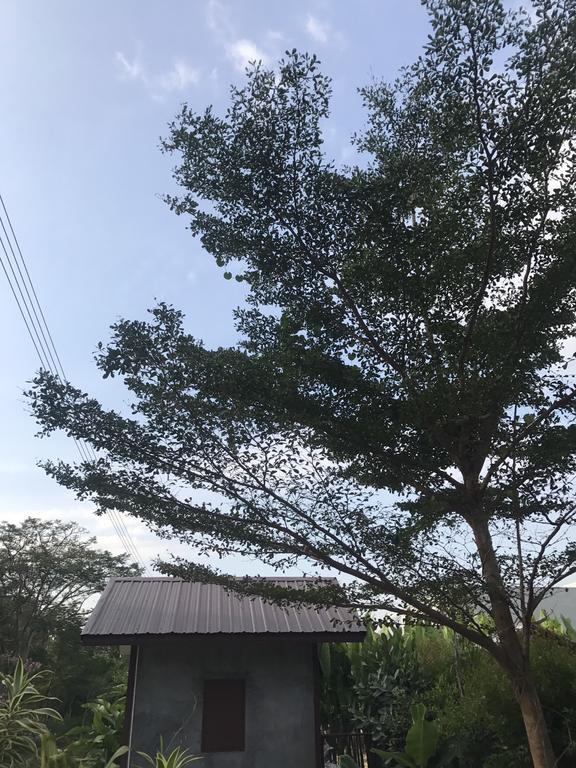 Jim Guesthouse カンチャナブリ エクステリア 写真